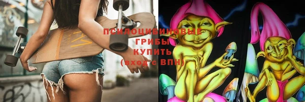 индика Аркадак