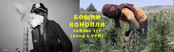 индика Аркадак