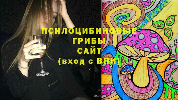 PSILOCYBIN Алексин