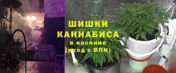 индика Аркадак