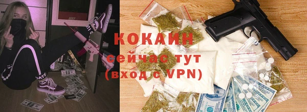 крисы Арсеньев