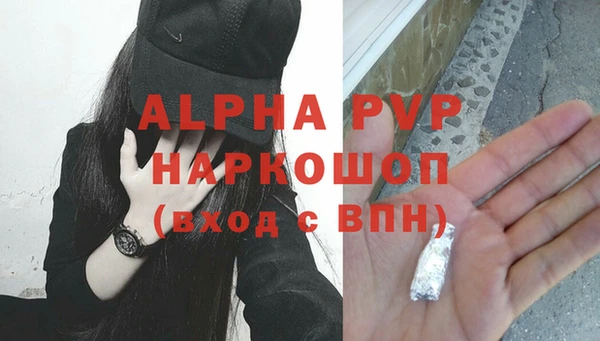 индика Аркадак