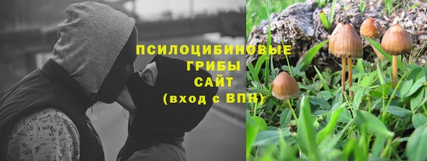 ECSTASY Алексеевка