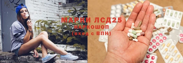 индика Аркадак